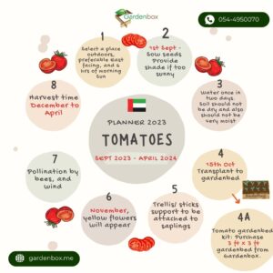 UAE Garden Planner for Tomatoes