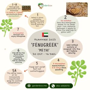 UAE Garden Planner of Fenugreek / Methi