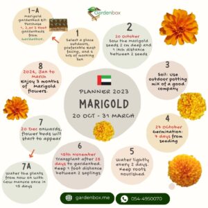 Garden Planner for Marigold