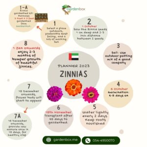 Garden Planner for Zinnia flowers